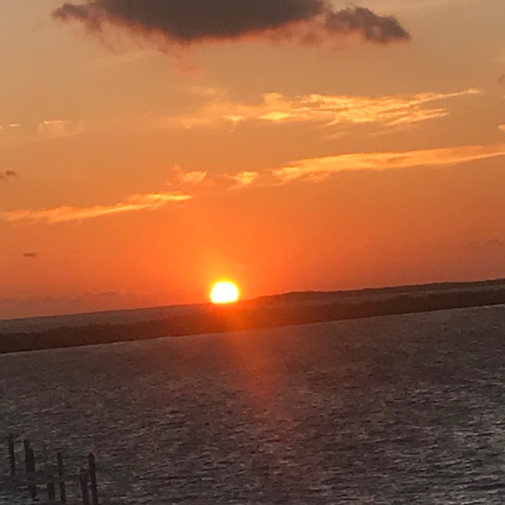 Meet your Posher, Lily